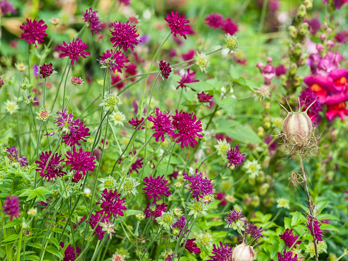 Ireland Aug 2014 (43)